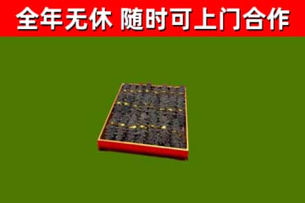 昂仁回收海参